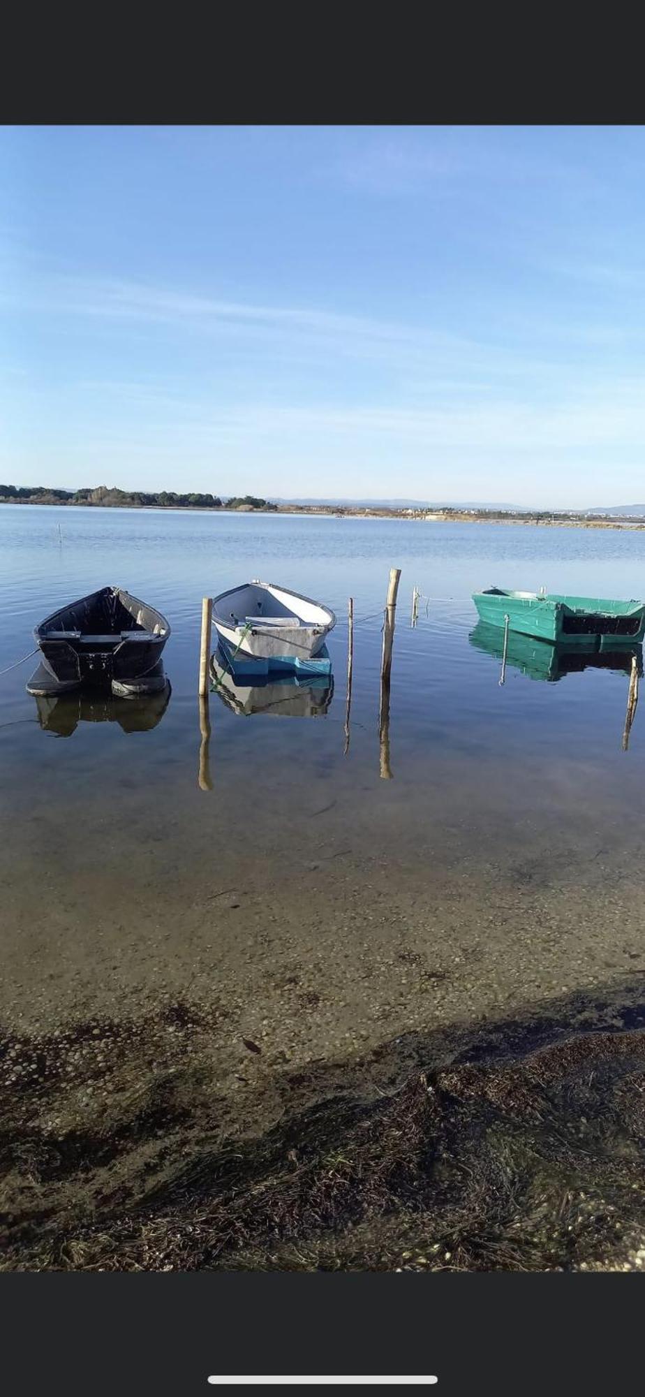 Studio Climatise Proche De Montpellier Et Des Plages Villeneuve-lès-Maguelonne Exteriör bild